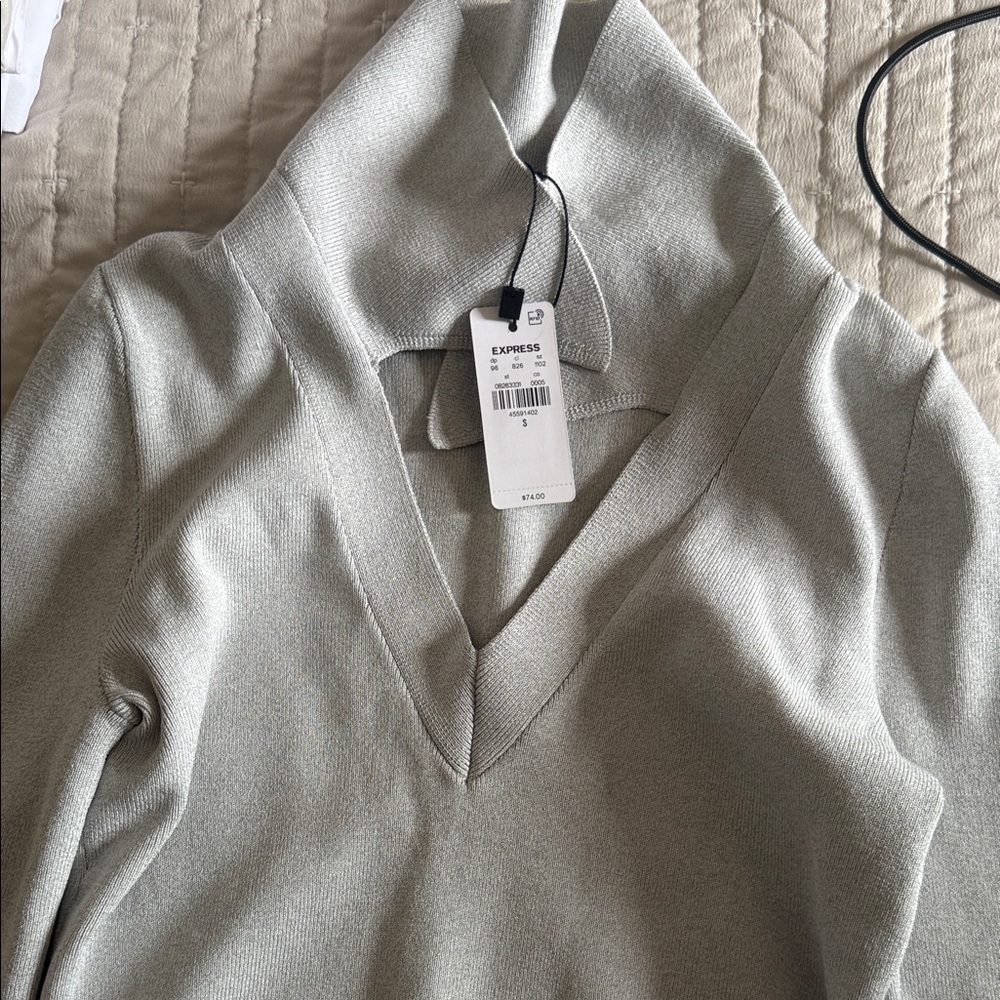 Express Women's V-Neck Sweater in Light Gray